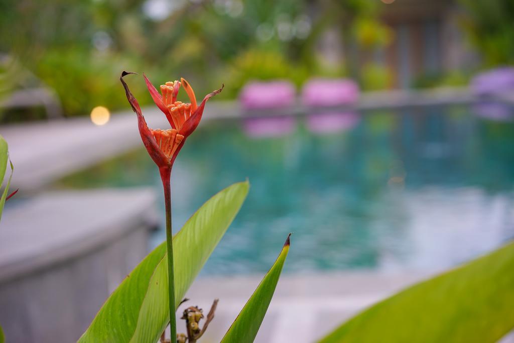 Ibludan Hotel Senggigi Exterior foto
